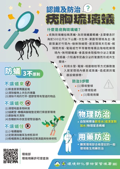 防治疣胸琉璃蟻宣導
